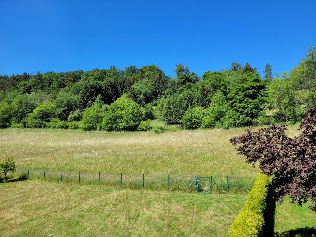Ferienwohnung Forsthaus Willingen  Exteriér fotografie